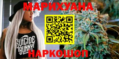 прущие грибы Новозыбков