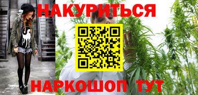 прущие грибы Новозыбков
