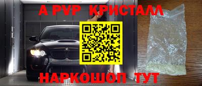 прущие грибы Новозыбков